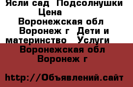 Ясли-сад “Подсолнушки“ › Цена ­ 8000.. - Воронежская обл., Воронеж г. Дети и материнство » Услуги   . Воронежская обл.,Воронеж г.
